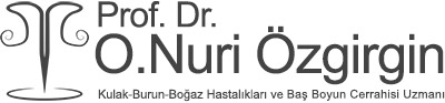Prof. Dr. Nuri Özgirgin
